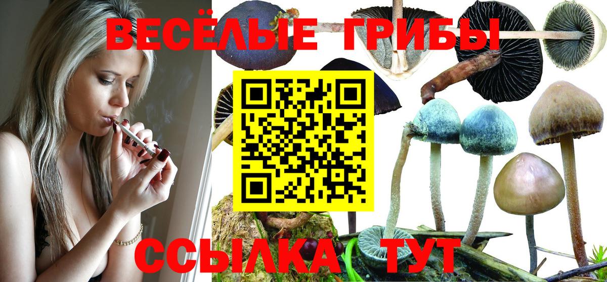 Оренбург  Галлюциногенные грибы Psilocybine cubensis  Вход с VPN 
